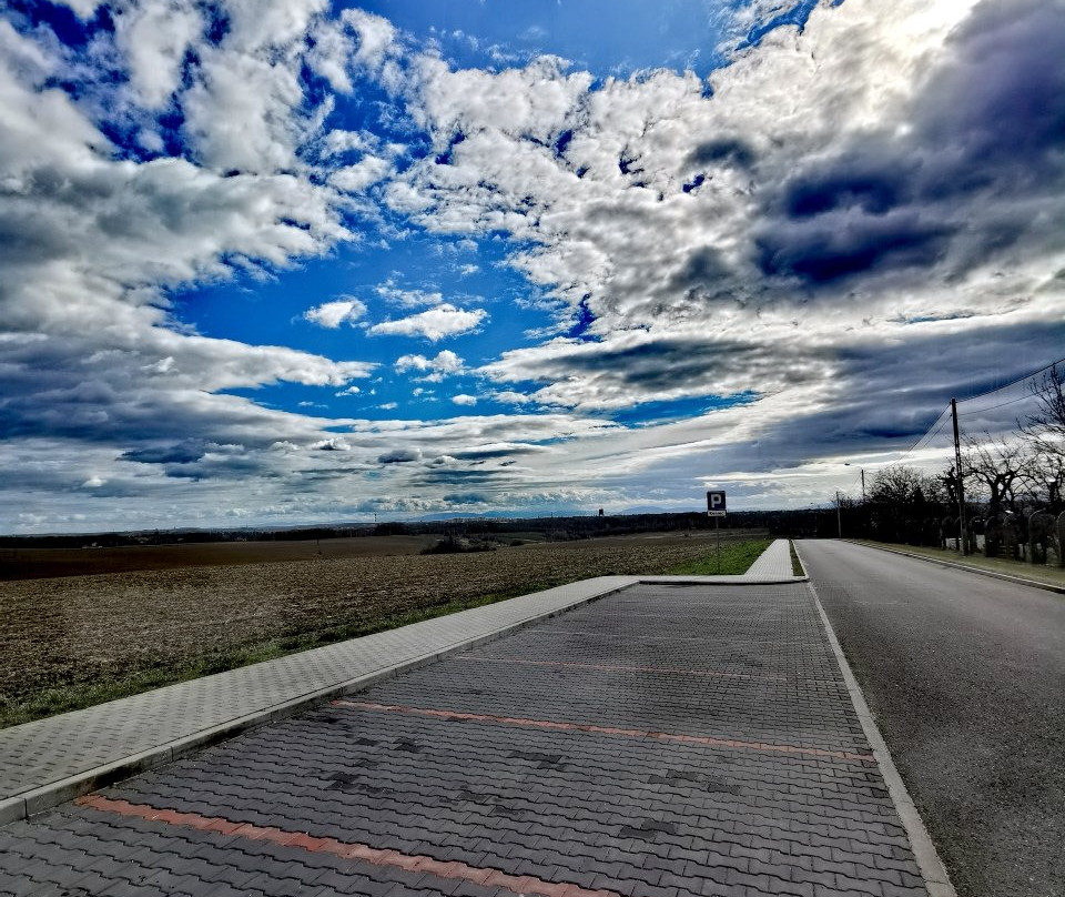 Pszow旅游攻略图片