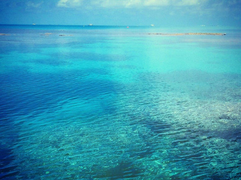 马斯格雷夫夫人岛旅游攻略图片