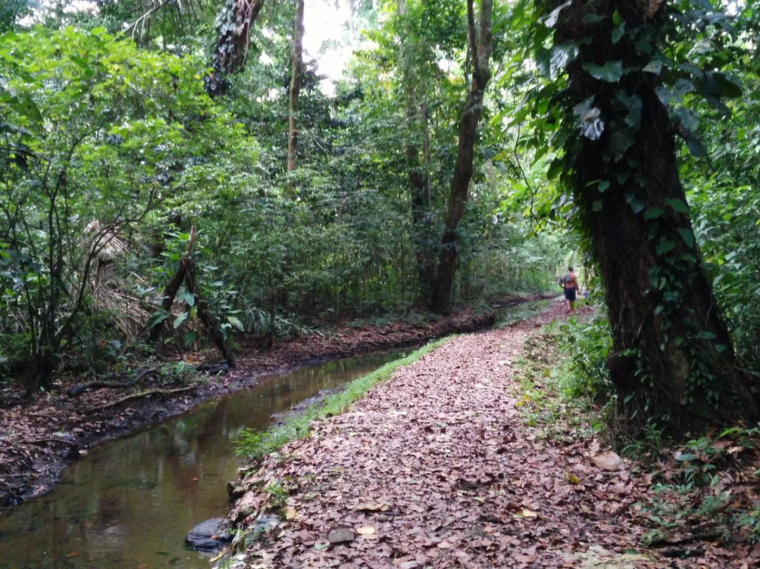 Boca Pacuare旅游攻略图片