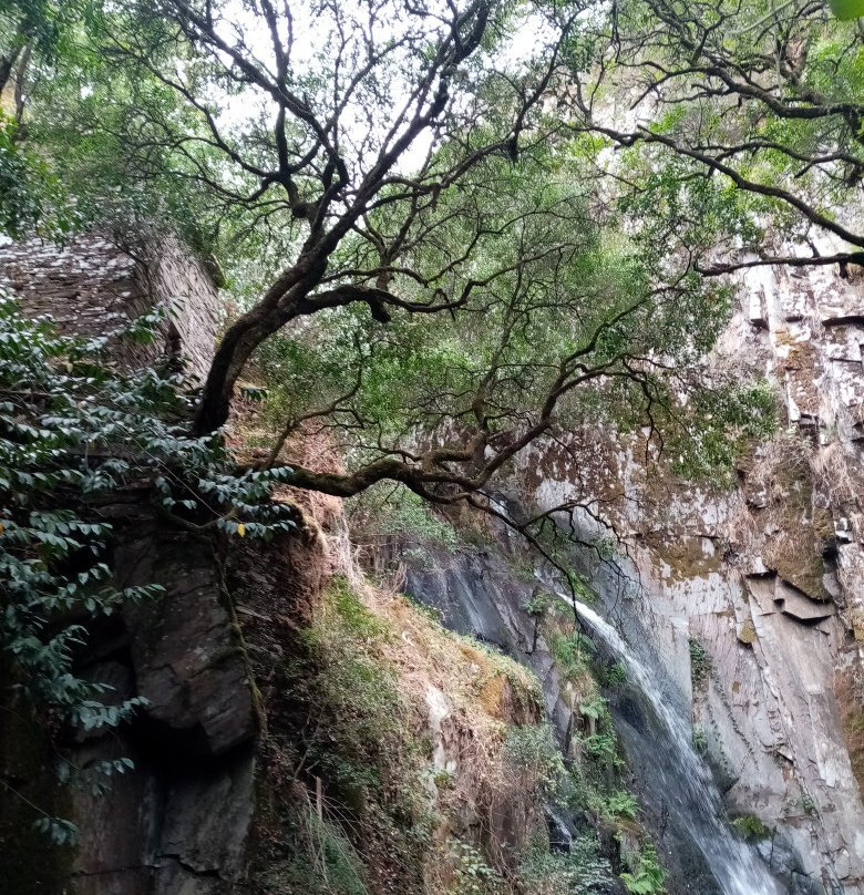 Cascata da Fraga da Pena景点图片