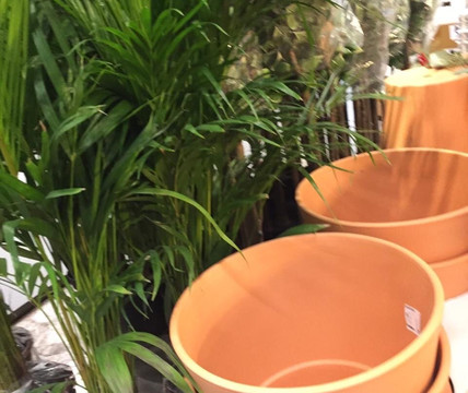 Ikea-Farwaniya必去景点