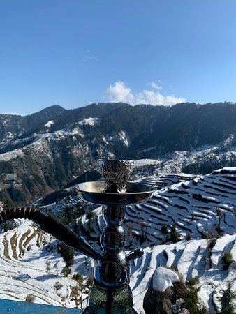 The Shivay Cafe & Stay主图