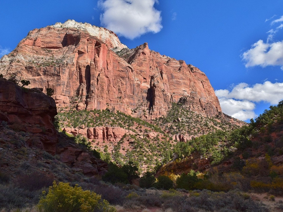 Lower Pine Creek Waterfall-斯普林代尔必去景点