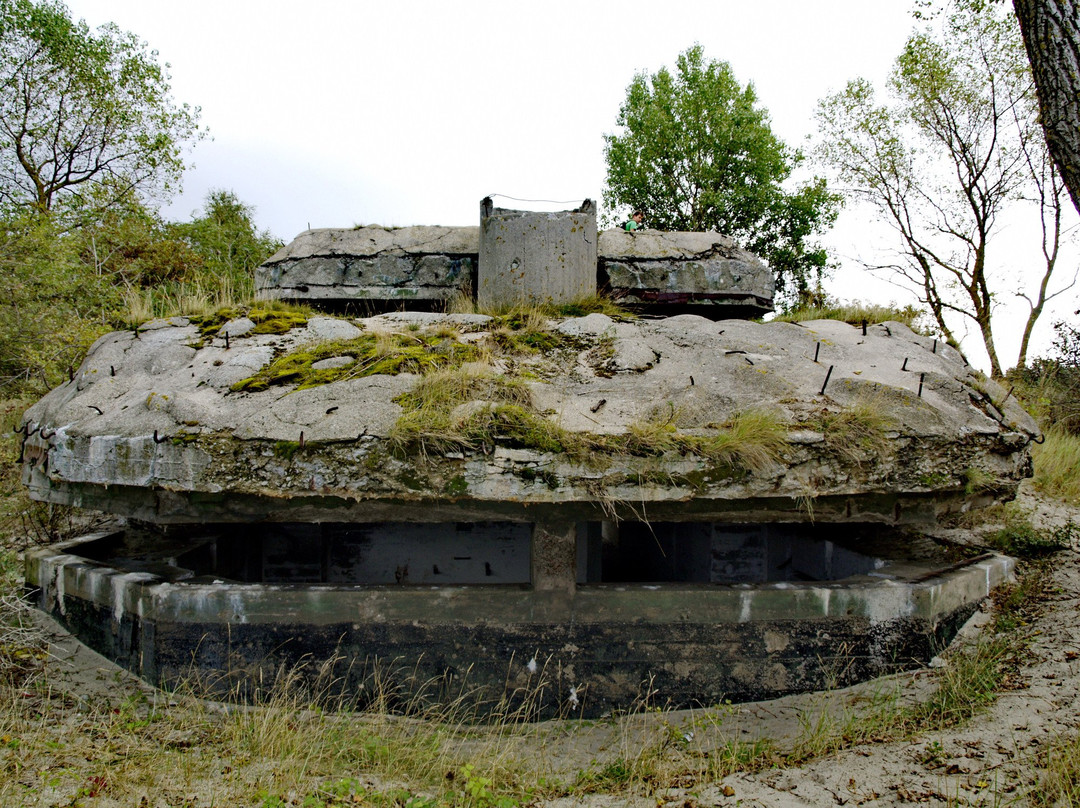 Coastal Air Defence Battery Lemberg景点图片