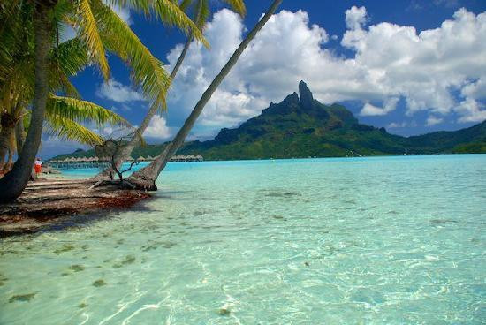 Bora Bora Lagoonarium-瓦伊塔佩必去景点