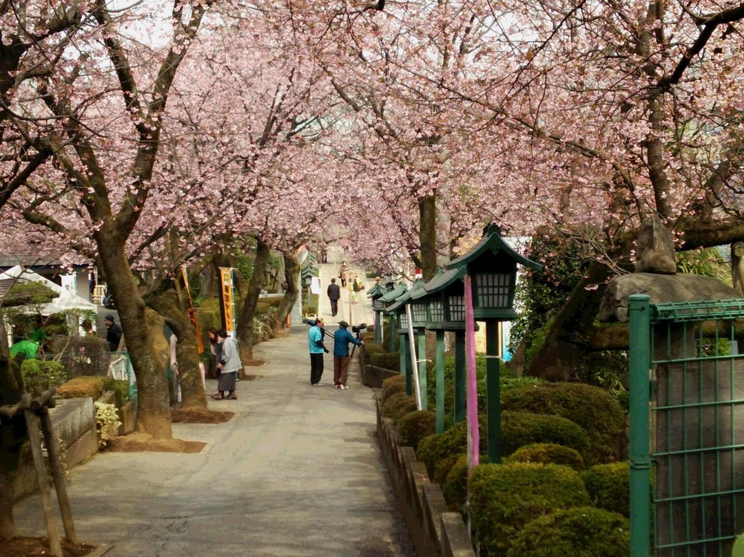 Mitsuzoin Temple-川口市必去景点