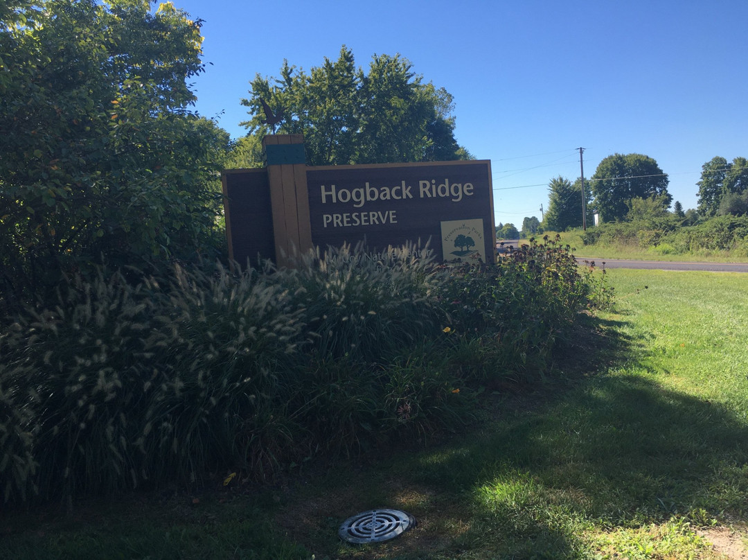 Hogback Ridge Preserve