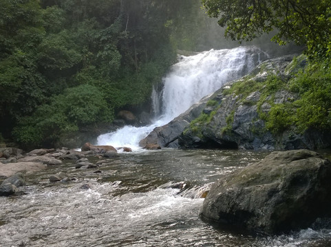 探索Kannan Devan Hills