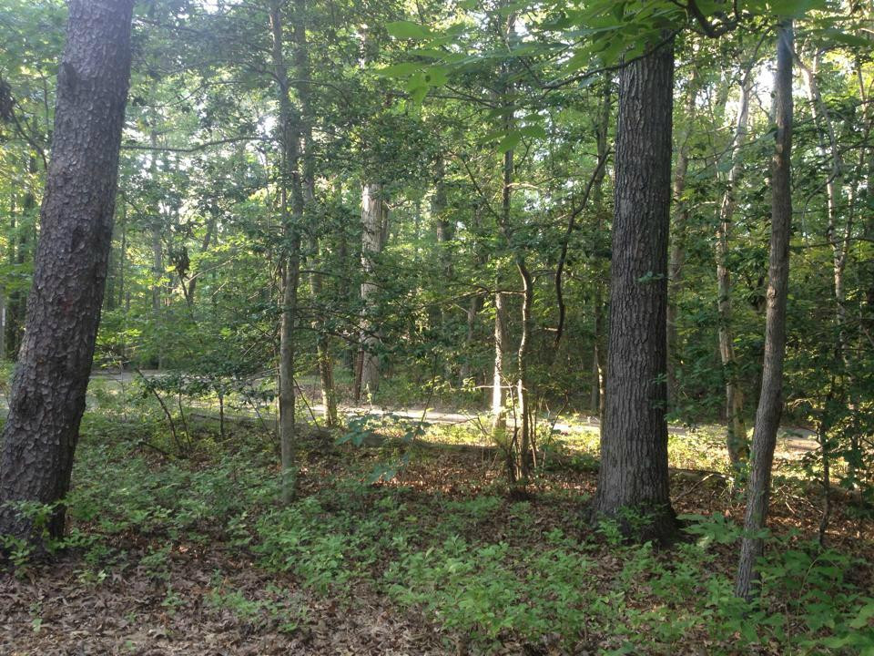 Brandywine旅游攻略图片