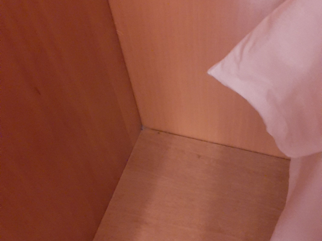 Hotel Rio sul Mare主图