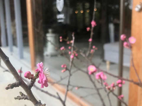 山添村旅游攻略图片