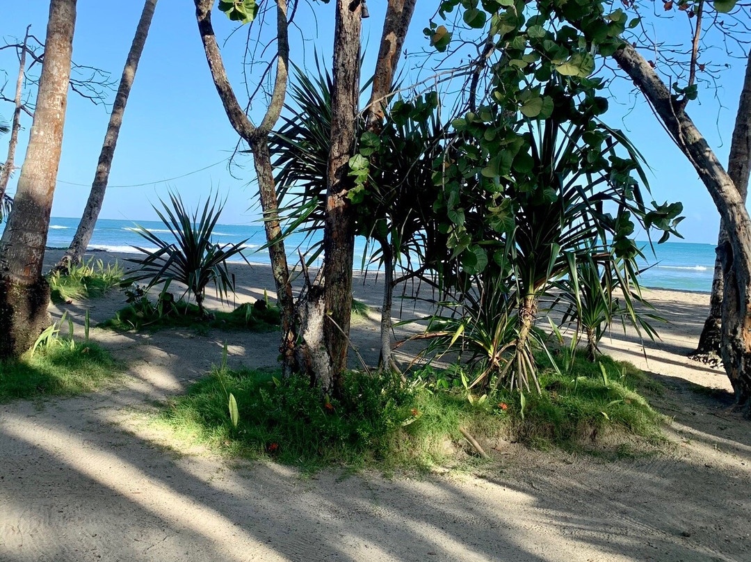 La Yagua旅游攻略图片