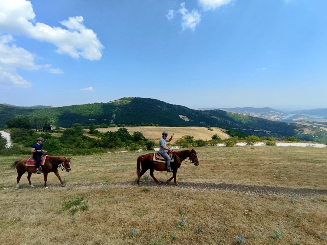 Il Gaucho Centro Ippico