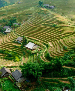 Ta Phin Village景点门票图片