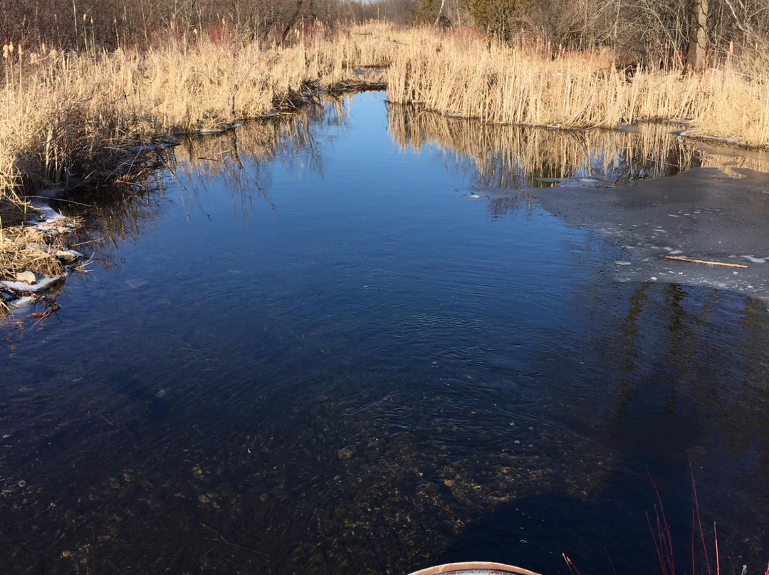 Miller Creek Wildlife Area景点图片