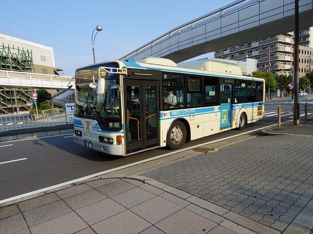 Osaka City Bus景点图片