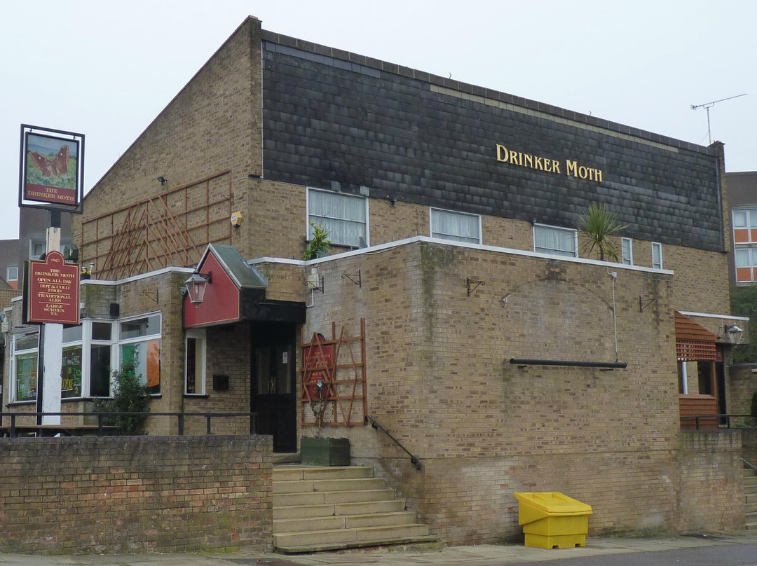 The Drinker Moth-哈洛必去景点