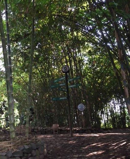 Pasar Papringan景点图片