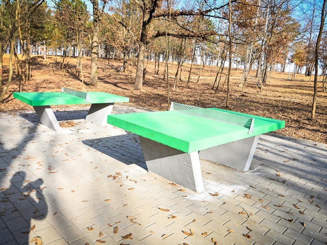 Peace Park