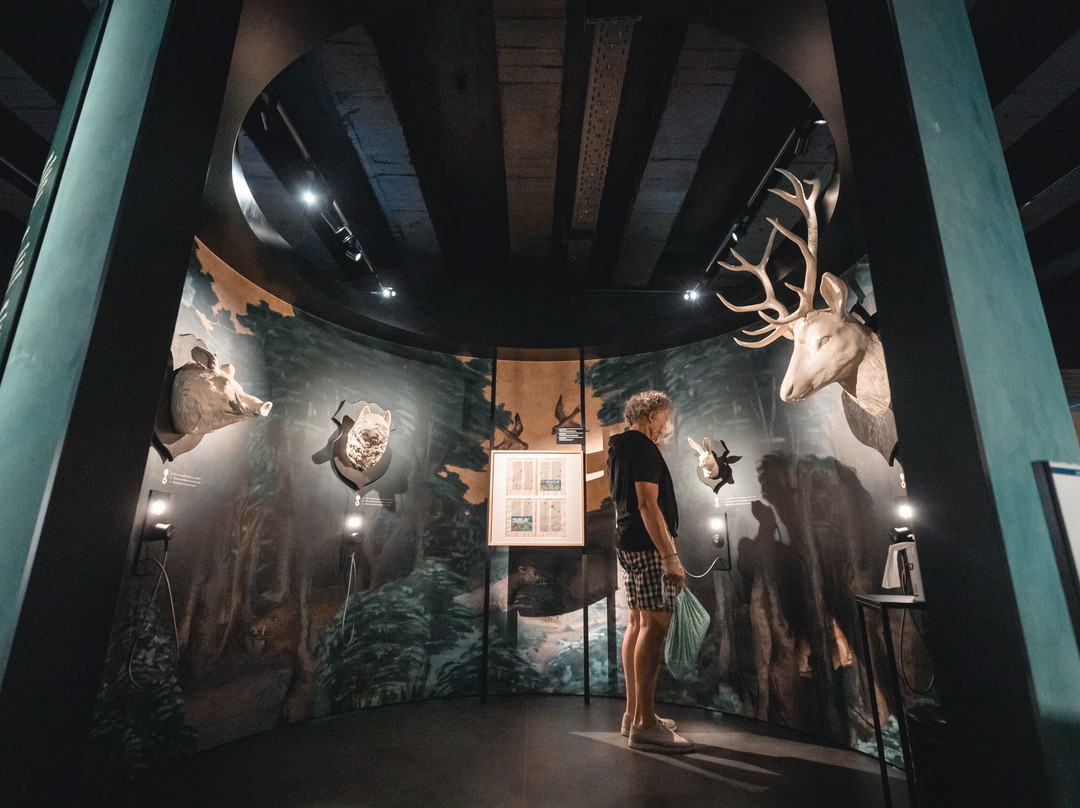 KBR museum-布鲁塞尔必去景点