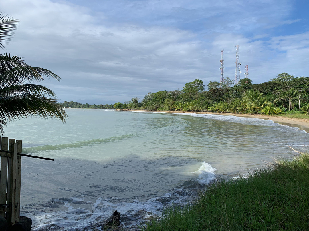 Sand Dollar Beach Bed & Breakfast主图