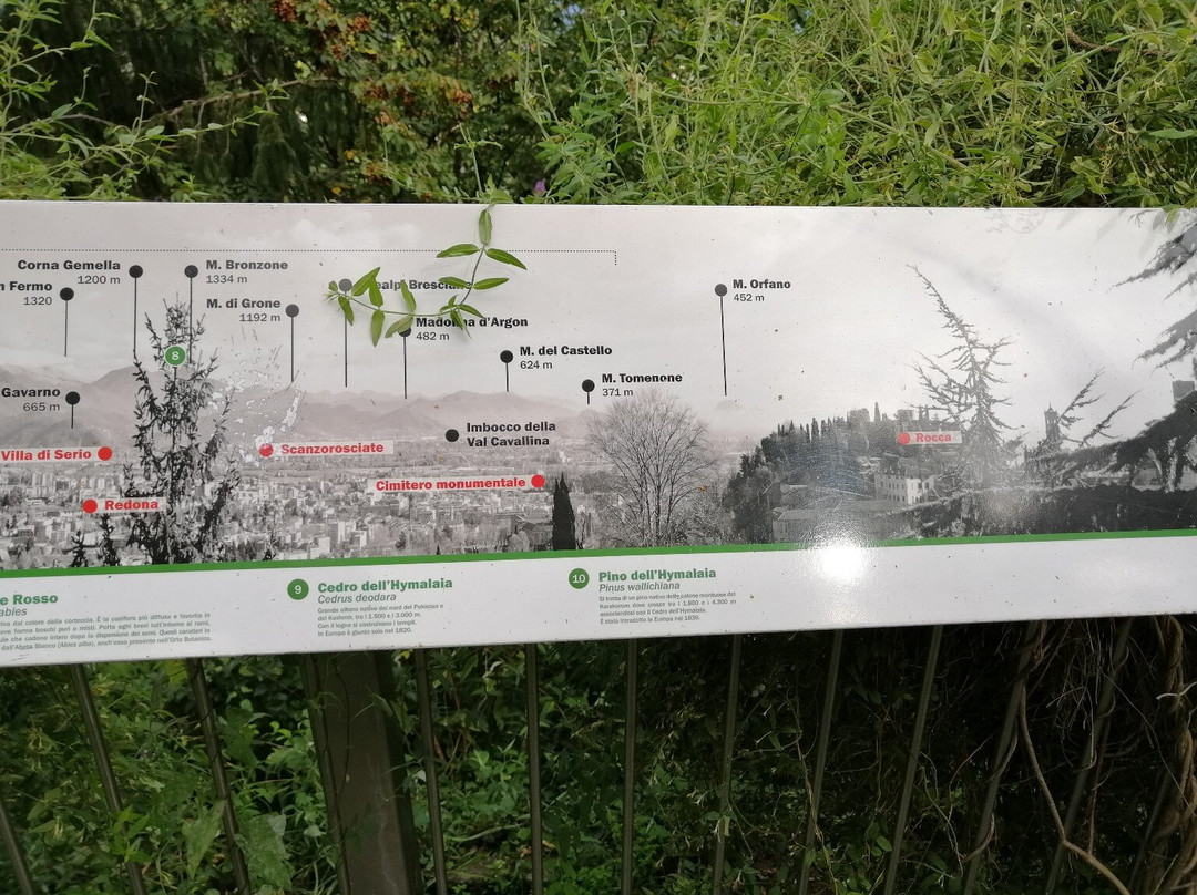 Orto Botanico di Bergamo Lorenzo Rota景点图片