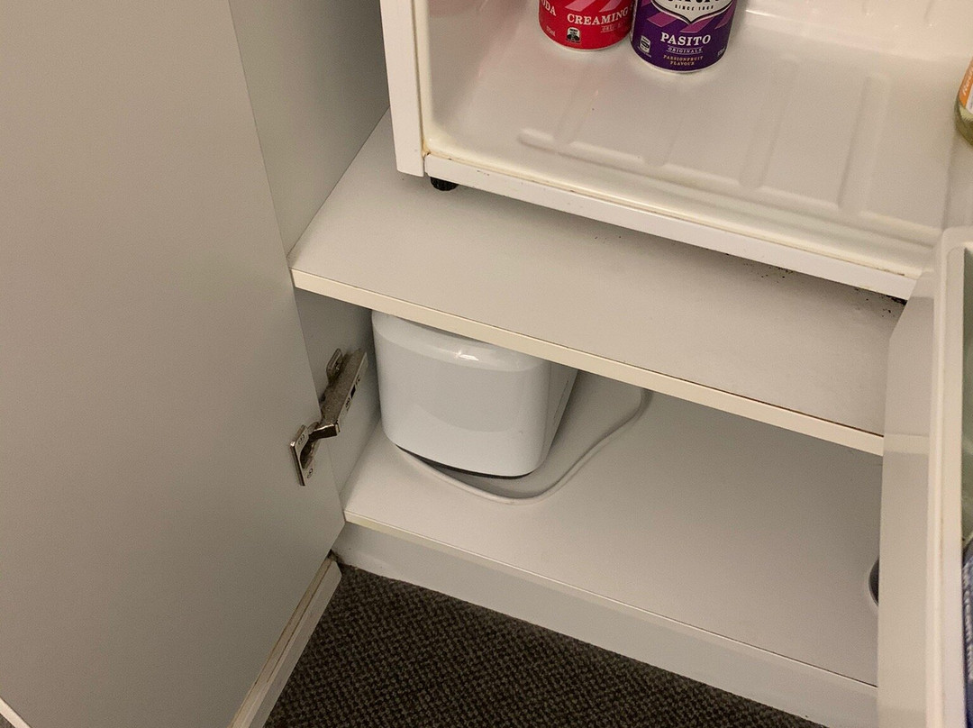 Tall Trees Motel Curtis Falls主图