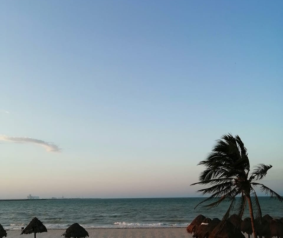 Hotel & Suites Domani主图