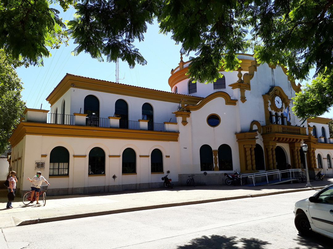 Palacio Municipal景点图片