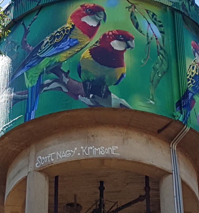 Lockhart Water Tower Mural景点图片