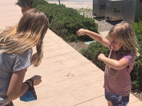 Zombie Scavengers Hunts-奥斯丁必去景点