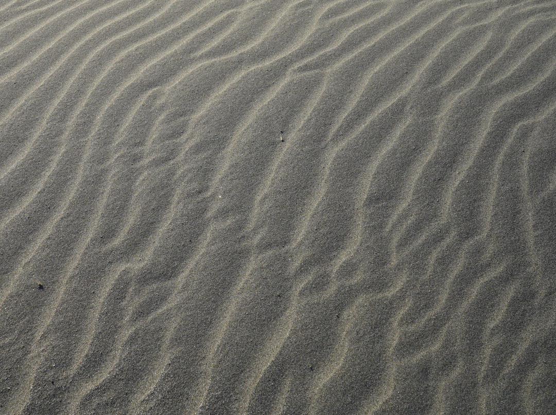 Kujukuri Beach-九十九里町 必去景点
