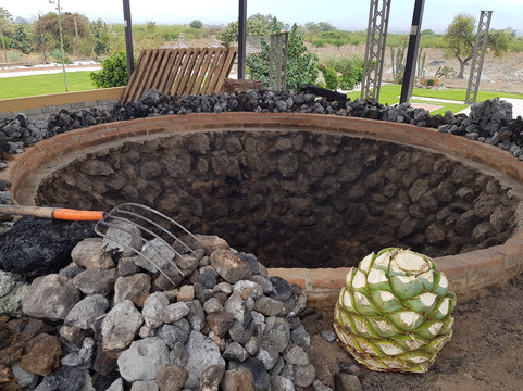 Oaxaca Conmigo Tours-瓦哈卡必去景点