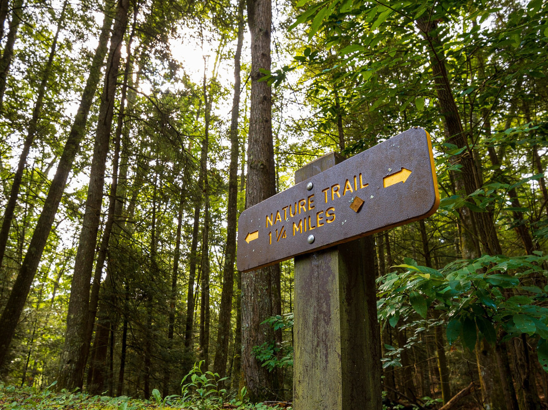 Twin Falls State Park-Mullens必去景点