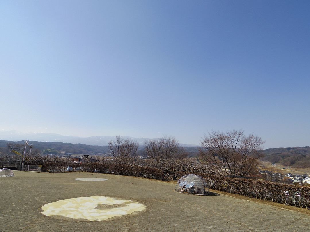 Inariyama Park Cosmo Tower-佐久市必去景点
