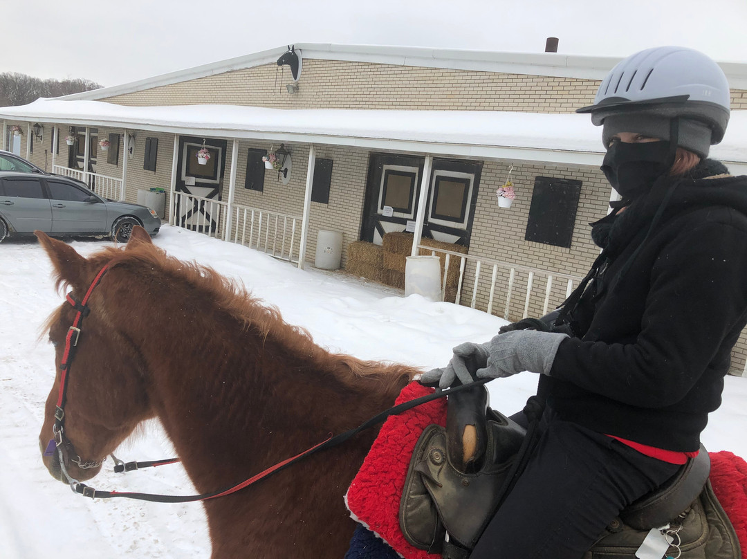 Forest View Farms-廷利公园必去景点