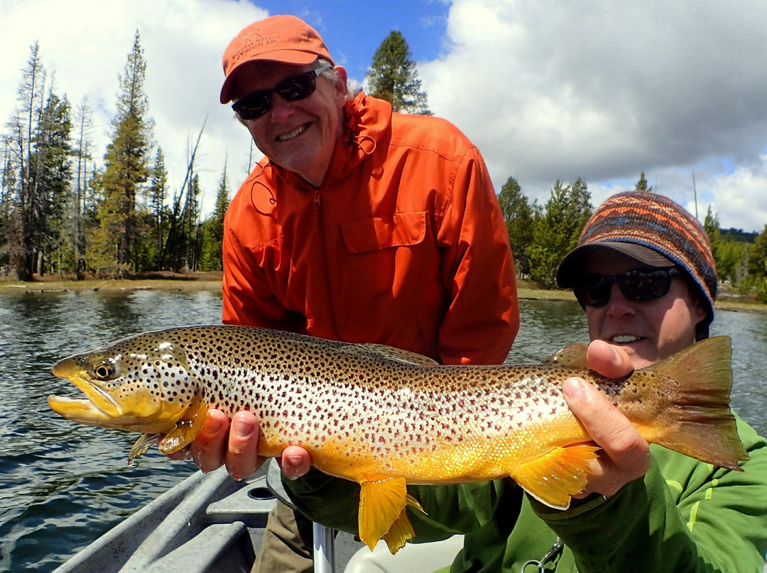 JH Trout Fly Fishing景点图片