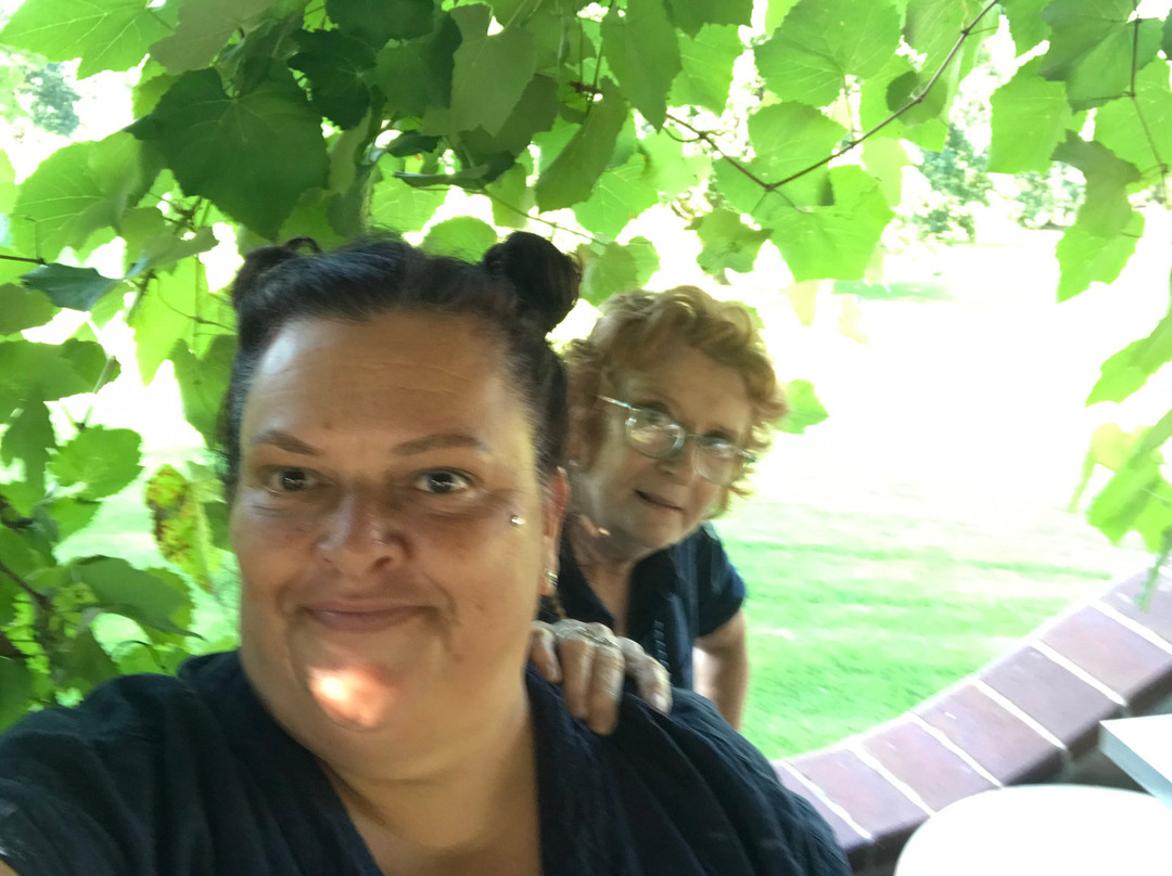 Picton Valley Motel主图