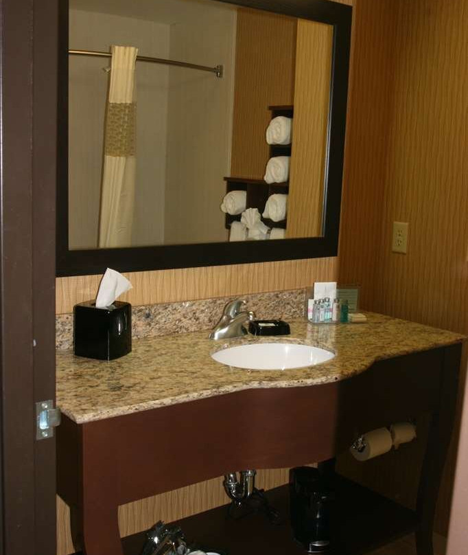 秘鲁希尔顿恒庭旅馆&套房酒店主图