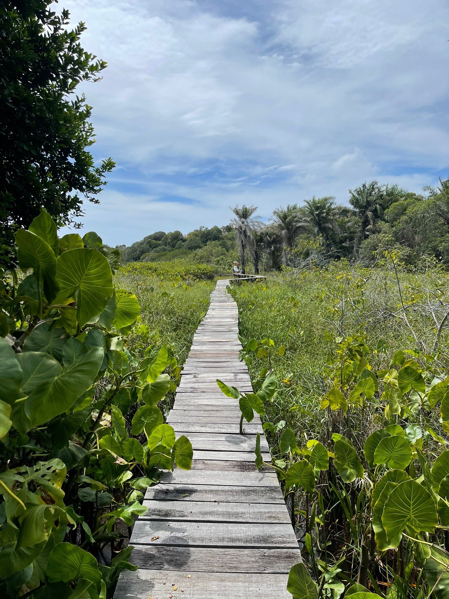 Pousada na Bahia Too Cool-官方