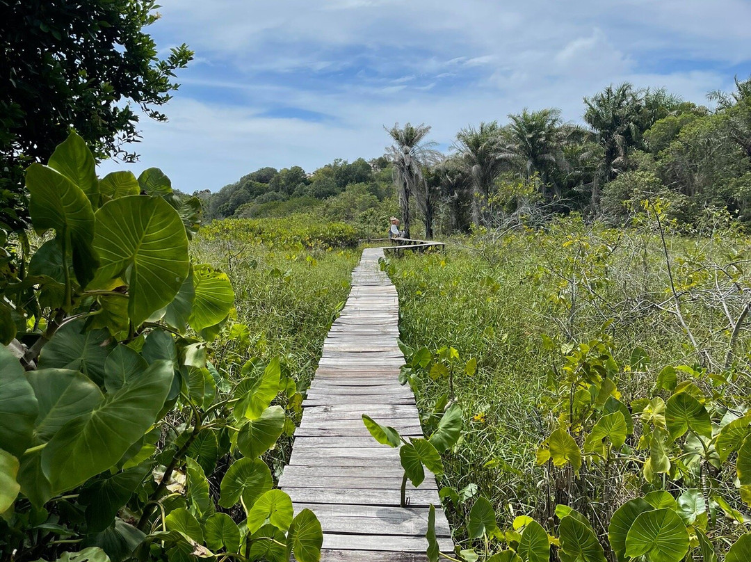 Pousada na Bahia Too Cool主图