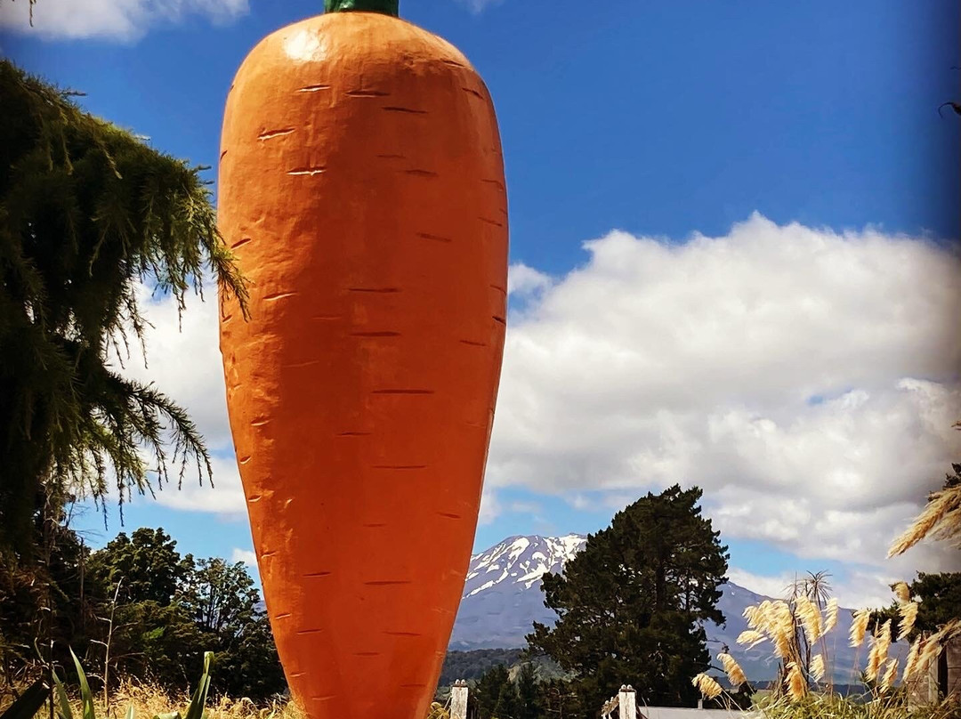 Ohakune Carrot Adventure Park景点图片
