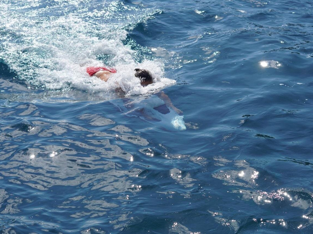 Aquaray Water Tours景点图片
