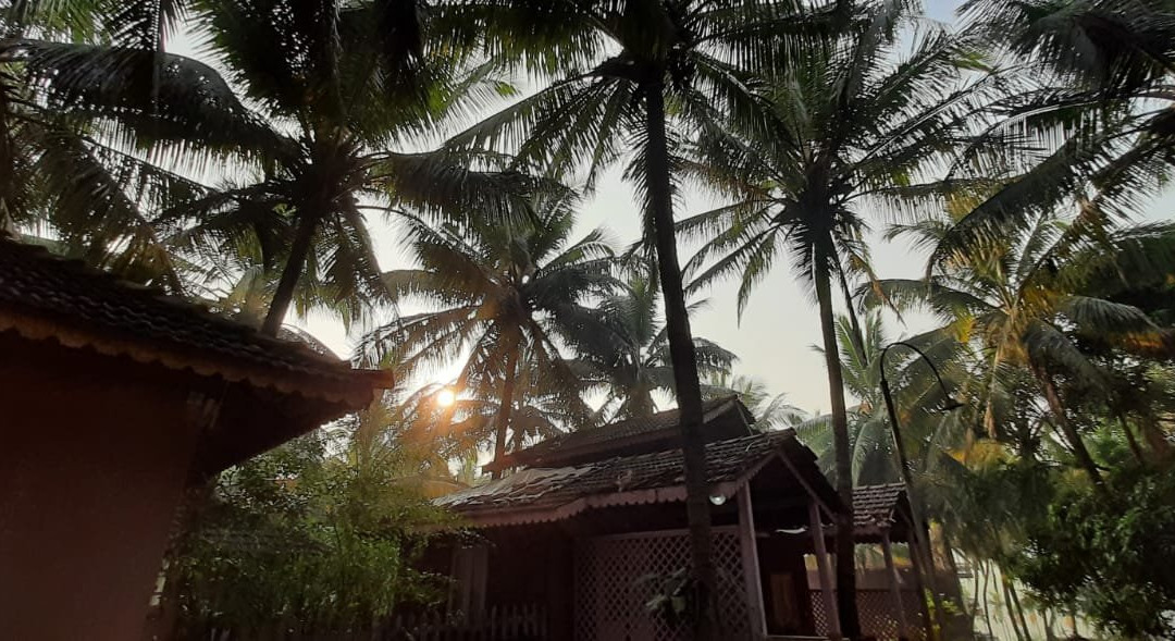 Shantai By The Lake主图