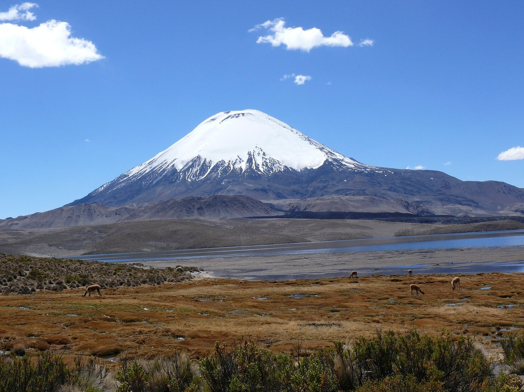 Lago Chungara-Putre必去景点