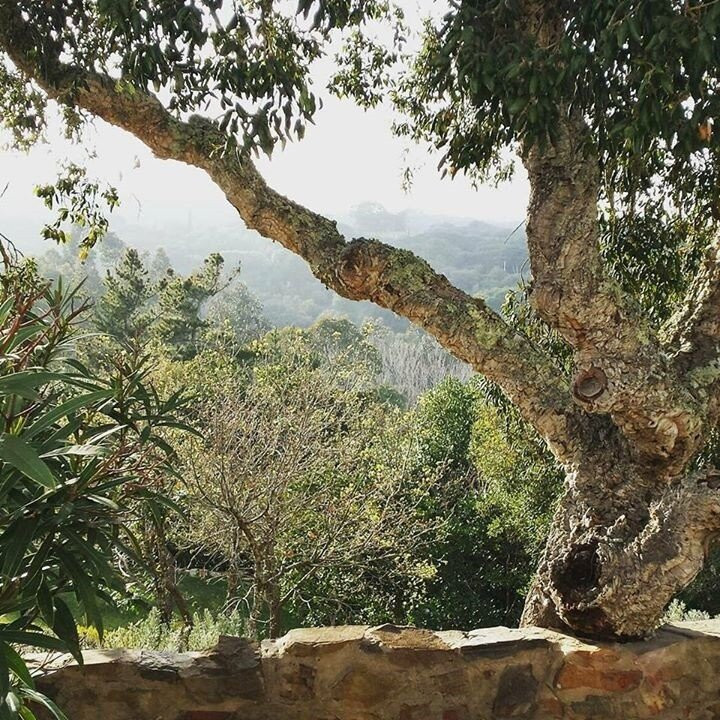 Herdade Quinta Natura主图