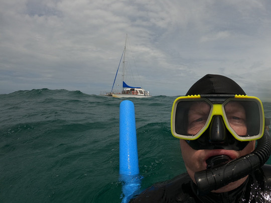 Reef Daytripper-凯恩斯必去景点