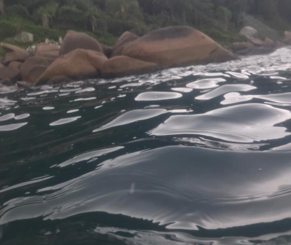 Acquanauta Floripa-弗洛里亚诺波利斯必去景点