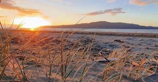 Paraparaumu Beach景点图片