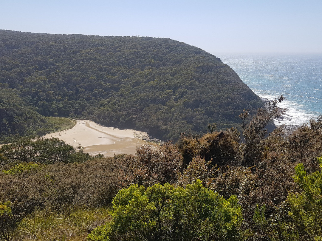 Otway E Bikes-Beech Forest必去景点